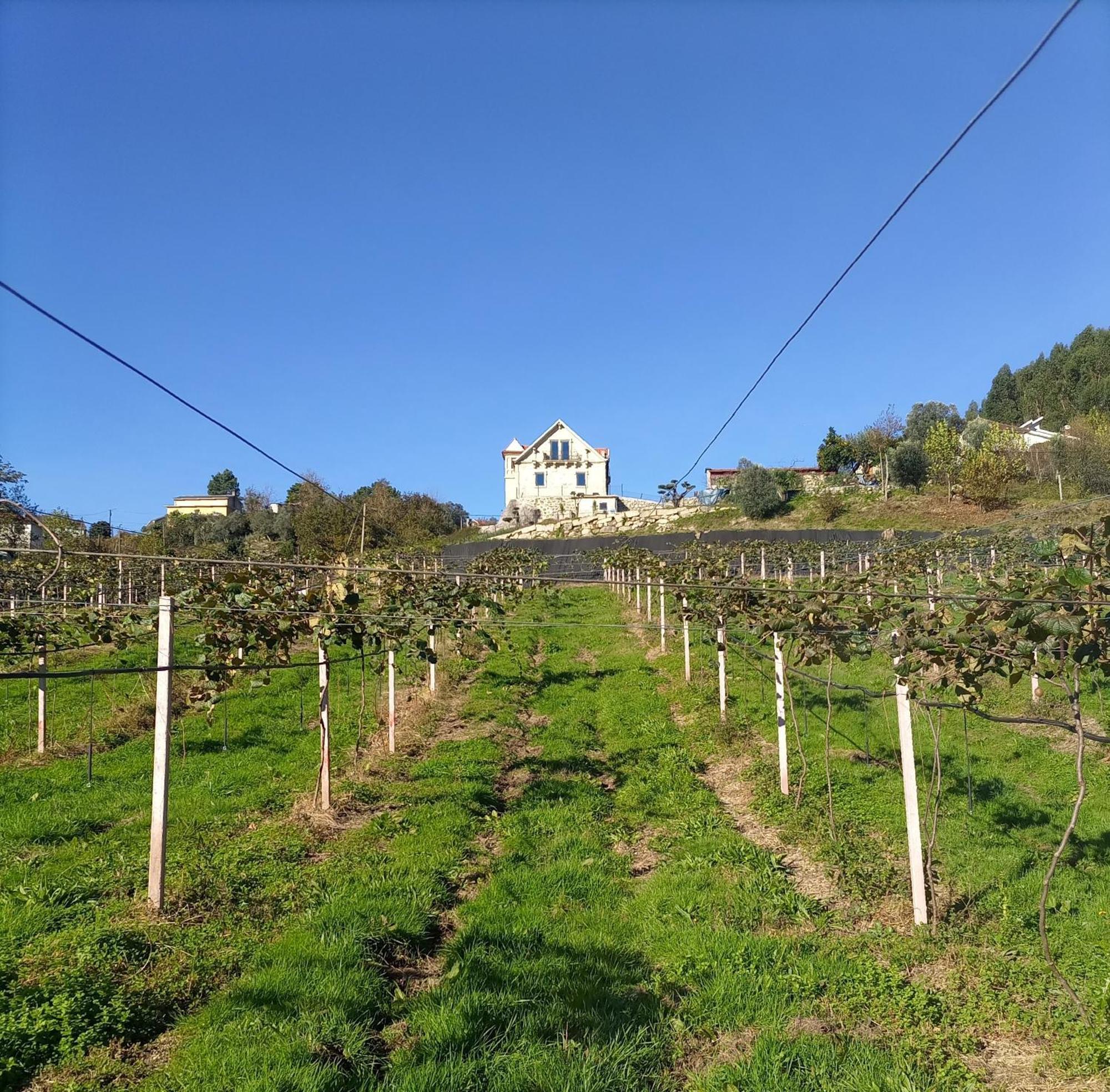 Willa Quinta Do Bairro Vieira do Minho Zewnętrze zdjęcie