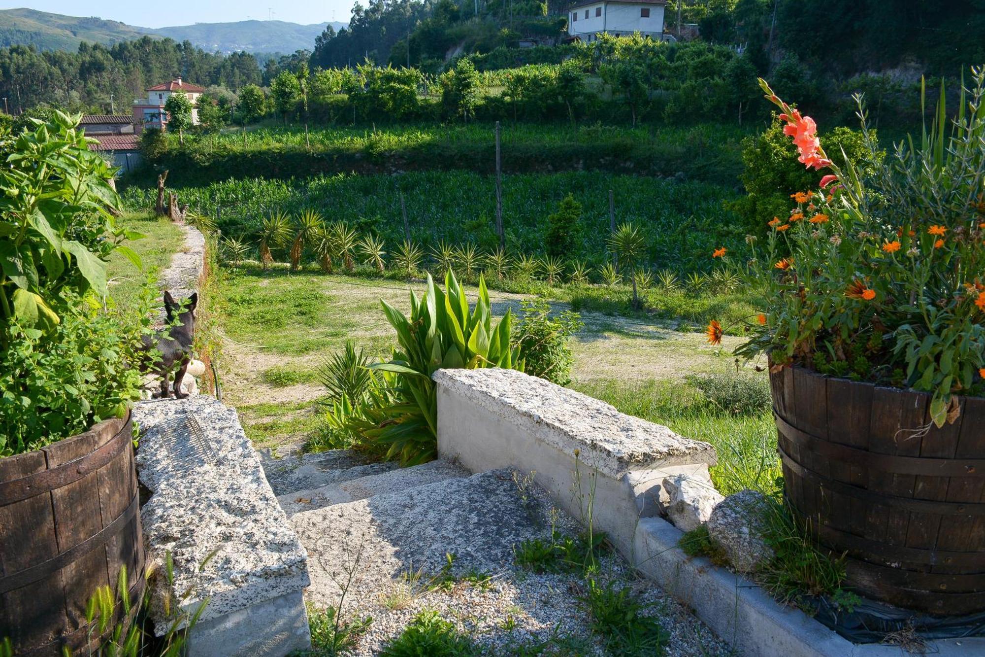 Willa Quinta Do Bairro Vieira do Minho Zewnętrze zdjęcie